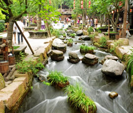 千年水碼頭、古鎮(zhèn)黃龍溪一日游