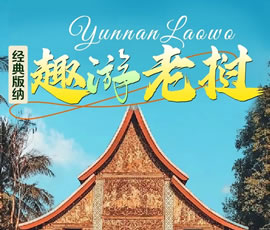 【趣游老撾 · 經(jīng)典版納】—昆明、普洱、西雙版納、磨丁、瑯勃拉邦四動8日游